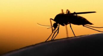 418.546 Kasus Malaria, Kemenkes Langsung “Tempo Kas Tuntas”